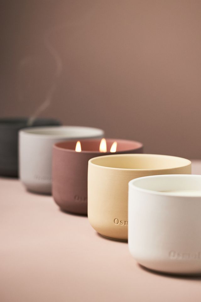 Osmology Persian Thyme Boxed Candle #1