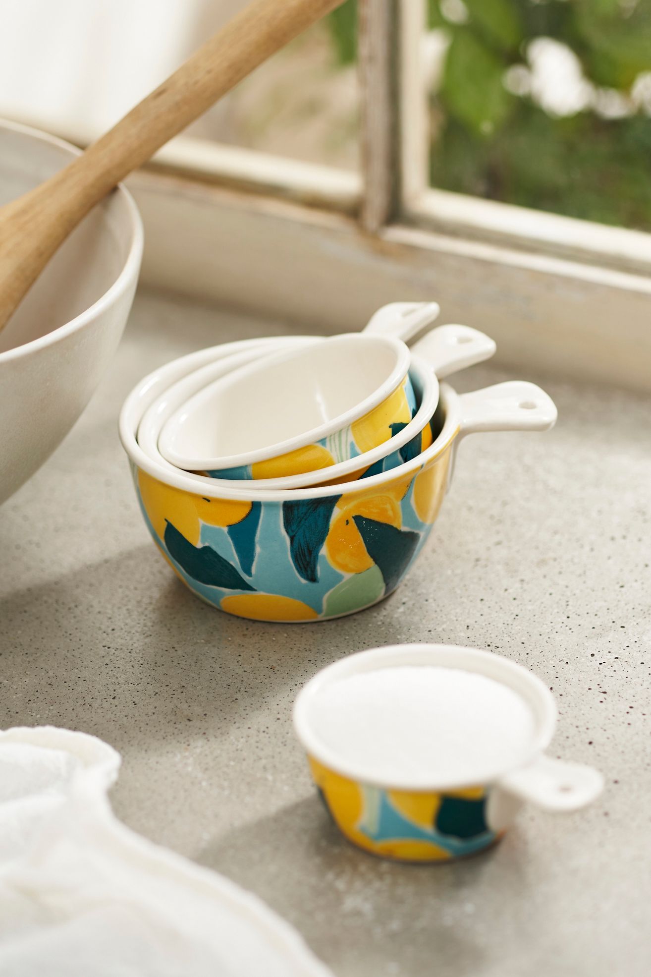 Citrus Grove Stoneware Measuring Cups - Blue, Standard, One Size
