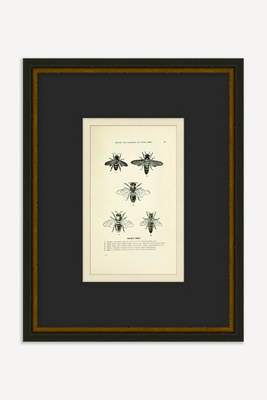 Anthropologie Bee's Knees Wall Art
