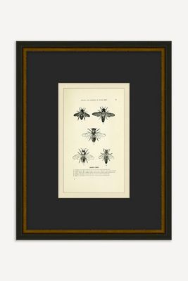 Bee's Knees Wall Art