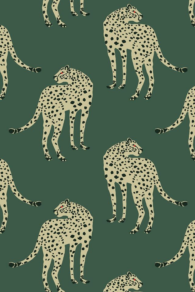 Mitchell Black Prowling Cheetah Animal Wallpaper #1