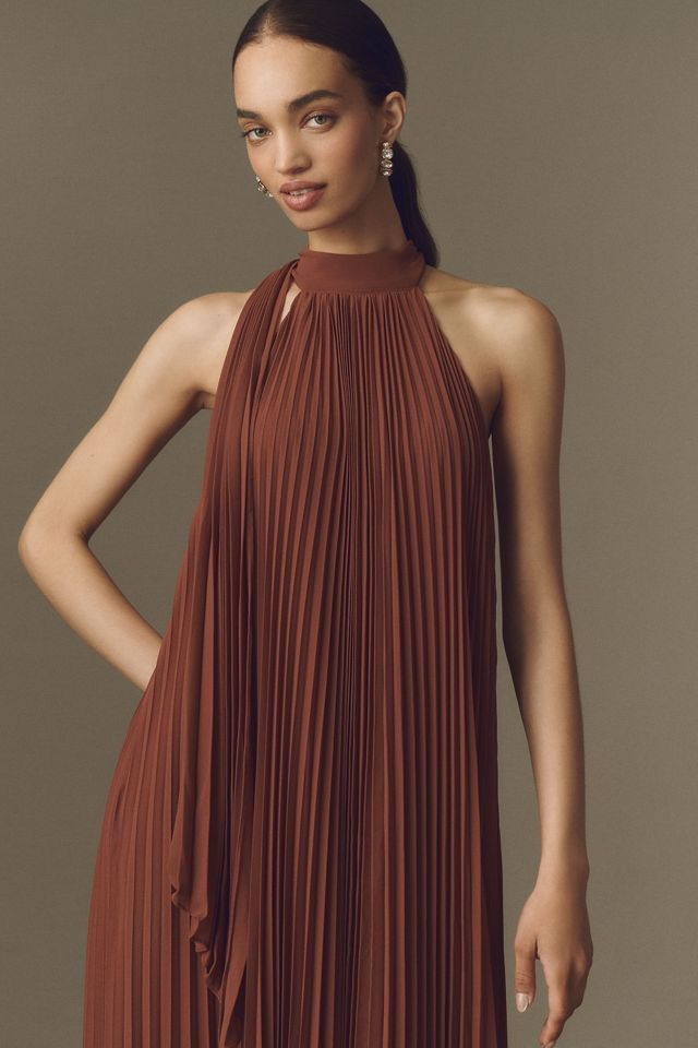 BHLDN Rosie Mock-Neck Pleated Chiffon Maxi Dress #1