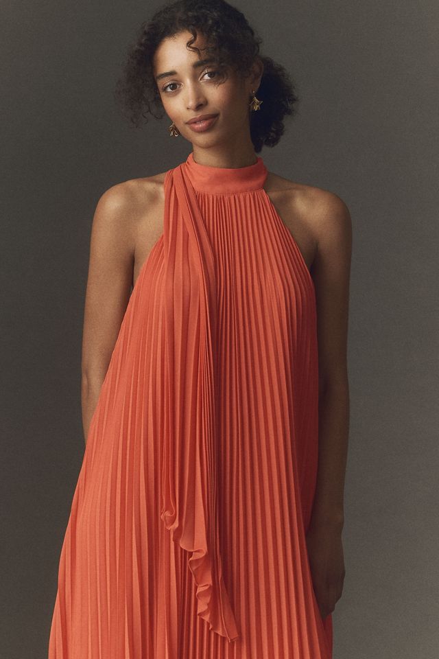 BHLDN Rosie Mock-Neck Pleated Chiffon Maxi Dress #1
