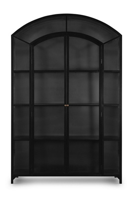 Anthropologie Belmont Arched Wide Metal Glass Door Cabinet