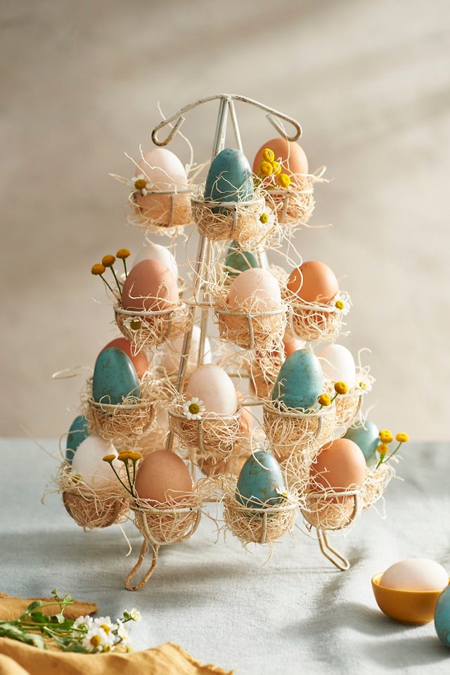 Iron Egg Carrier #2