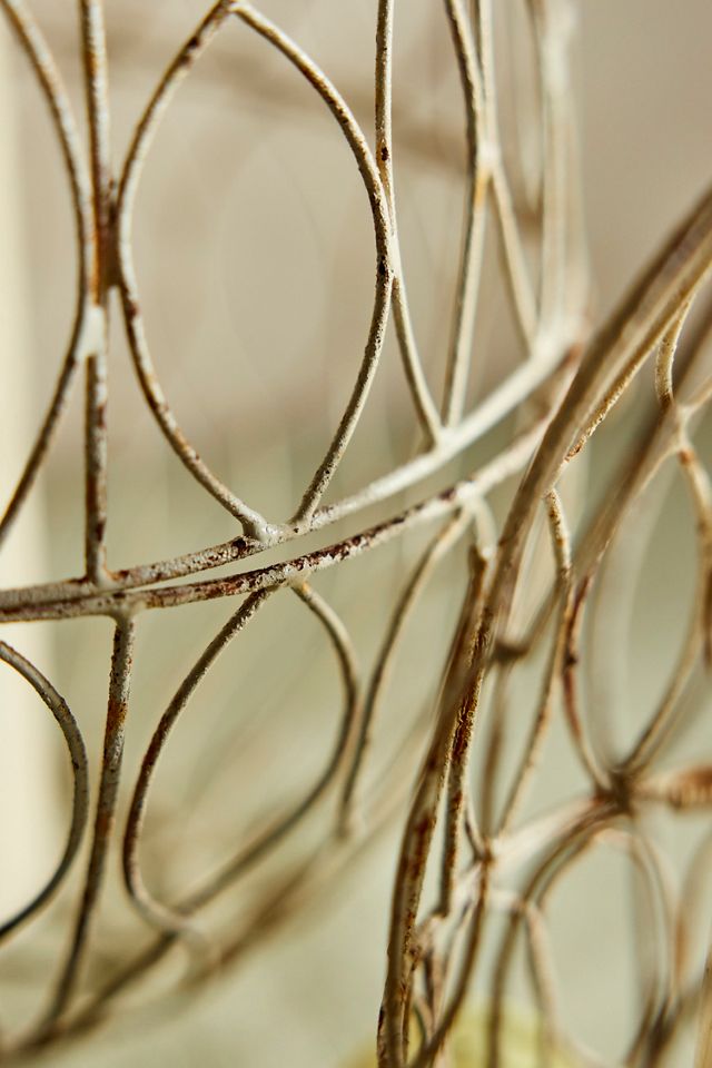 Wire Egg Cloche #4