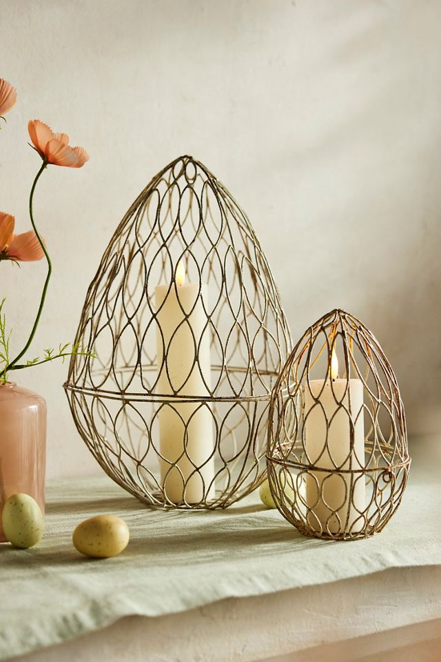 Wire Egg Cloche #1