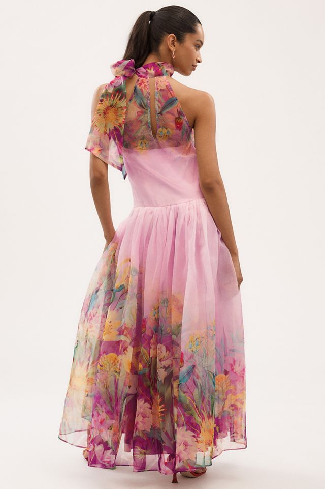BHLDN Kendall High-Neck Scarf Floral Organza Maxi Dress