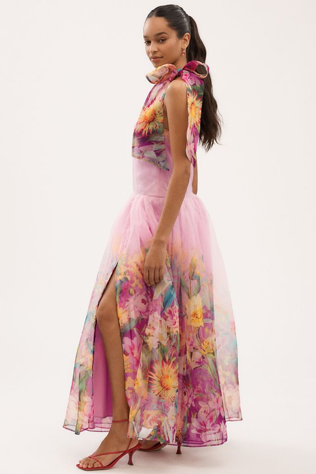 BHLDN Kendall High-Neck Scarf Floral Organza Maxi Dress