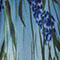 Blue Meadow