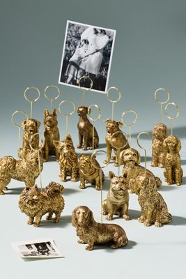 The Animal Icon Photo Holder: Dog Edition