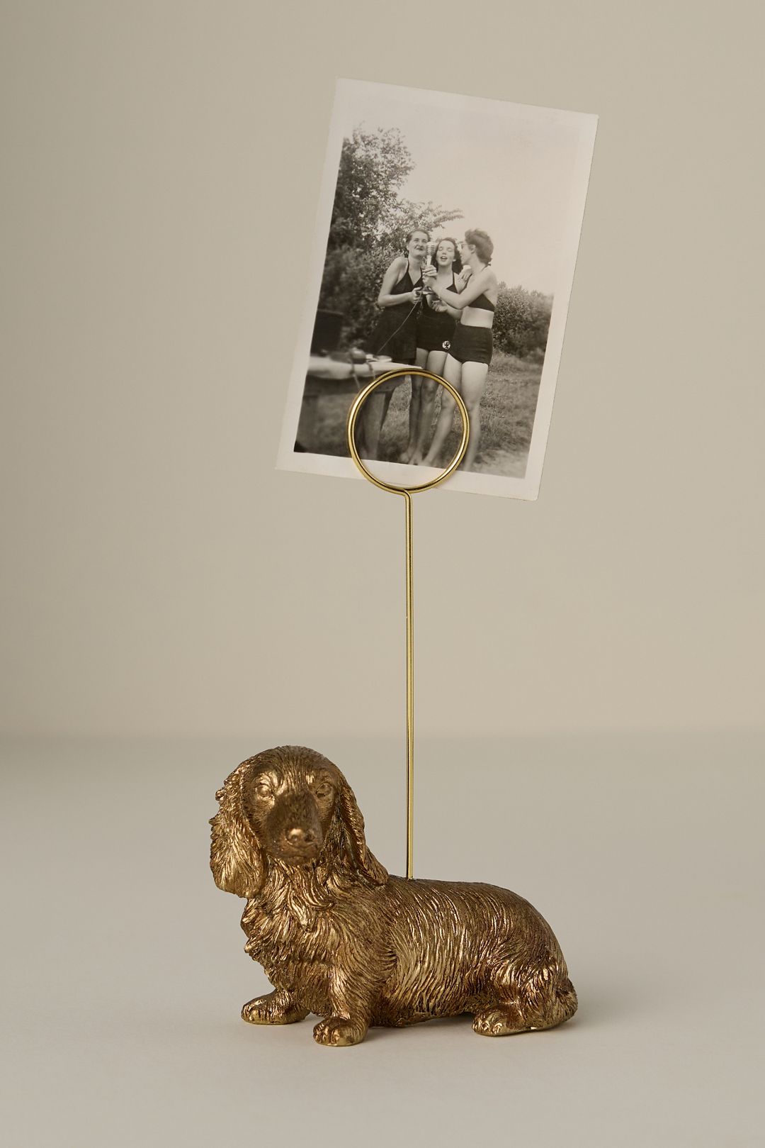 The Animal Icon Photo Holder: Dog Edition - Dachshund, Standard, One Size