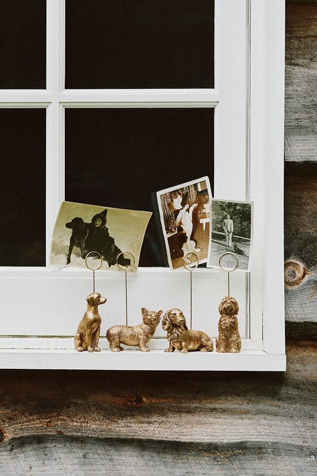 The Animal Icon Photo Holder: Dog Edition #3