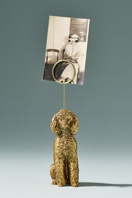 Porte-photo d'icône d'animal : Édition chien