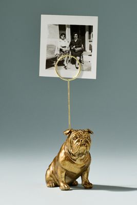 The Animal Icon Photo Holder: Dog Edition