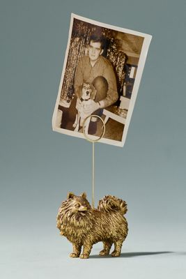 The Animal Icon Photo Holder: Dog Edition