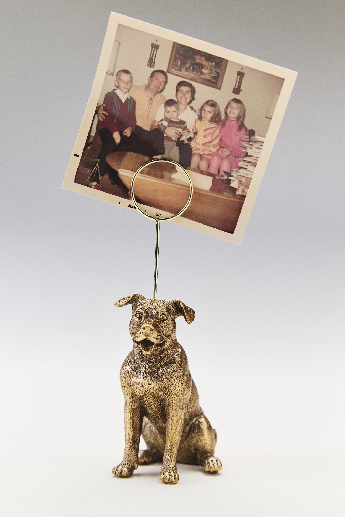 The Animal Icon Photo Holder: Dog Edition - Pitbull, One Size