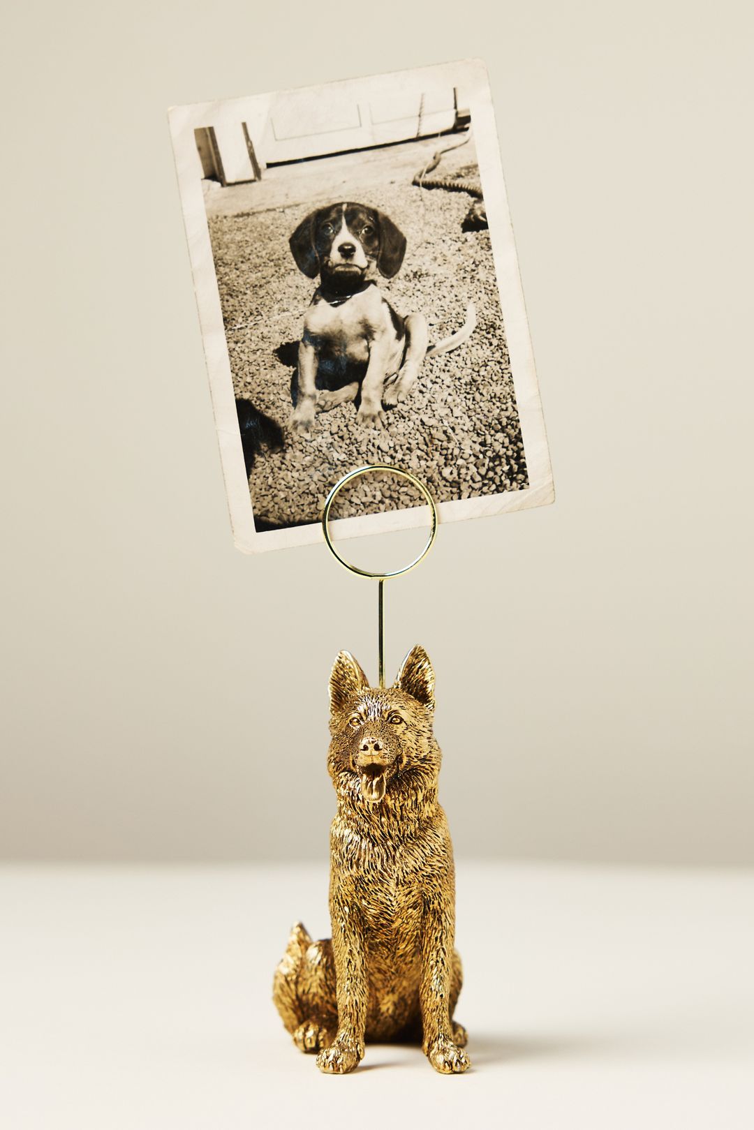 The Animal Icon Photo Holder: Dog Edition - German Shepherd, Standard, One Size