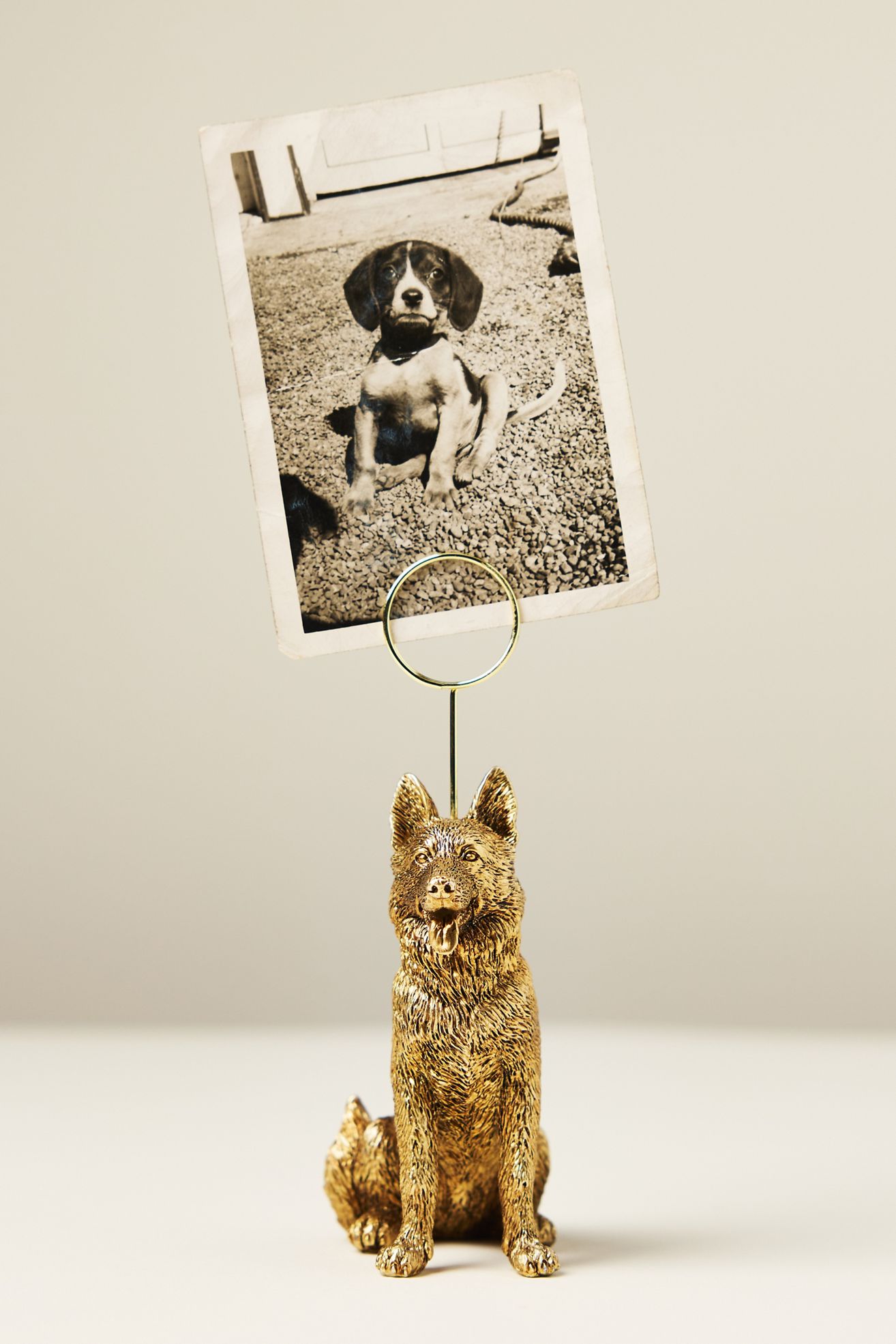 The Animal Icon Photo Holder: Dog Edition - German Shepherd, Standard, One Size