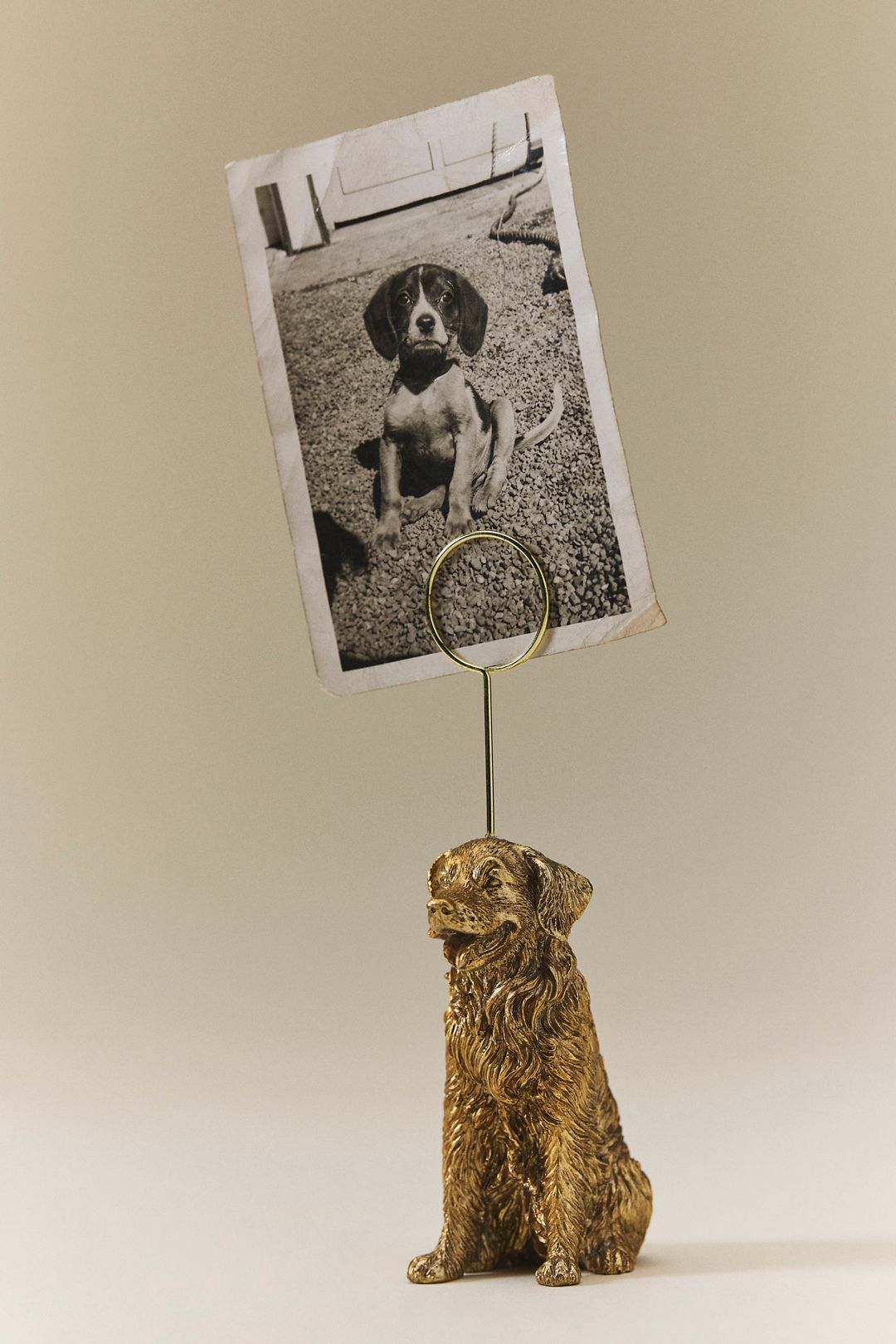 The Animal Icon Photo Holder: Dog Edition - Golden Retriever, One Size
