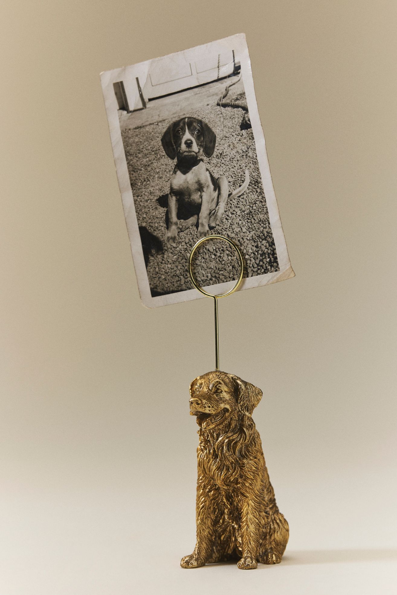 The Animal Icon Photo Holder: Dog Edition - Golden Retriever, One Size