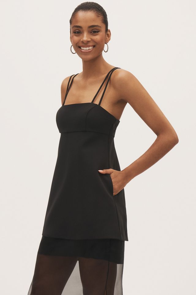 BHLDN Anna Sleeveless Satin Layered Sheer Crepe Maxi Dress #1