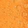 Seville Orange