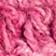 Pink Shell
