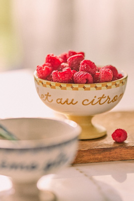 Anthropologie Café Violette Handpainted Stoneware Ice Cream Bowl