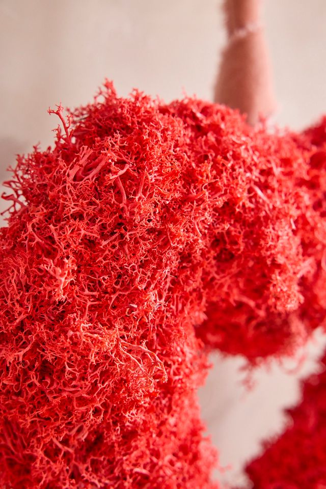 Preserved Reindeer Moss Wreath, Red | Anthropologie