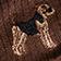 Hunting Dog/Duck