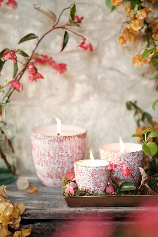 Ceramic Citronella + Thyme Candle, Coral Floral #5