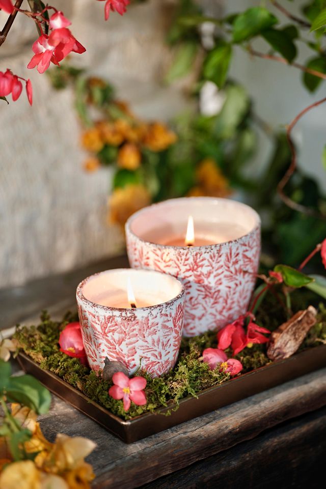 Ceramic Citronella + Thyme Candle, Coral Floral #6