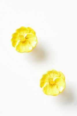 Old Havana Ceramic Knobs, Set of 2