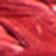 Summer Red