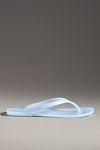 Jeffrey Campbell Beach Jelly Flip Flops