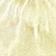 Yellow Fuchsia Gradient