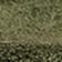 Moss