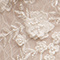 Ivory Blush
