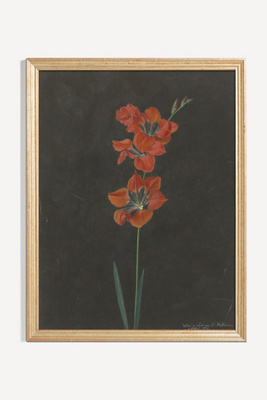 Art Patron Lily Wall Art