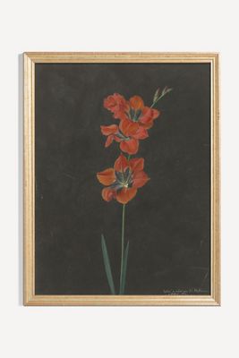 Lily Wall Art