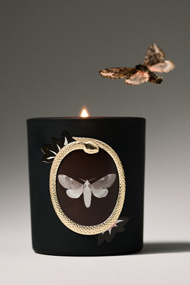 Halloween Moth Woody Teakwood Rose Glass Candle