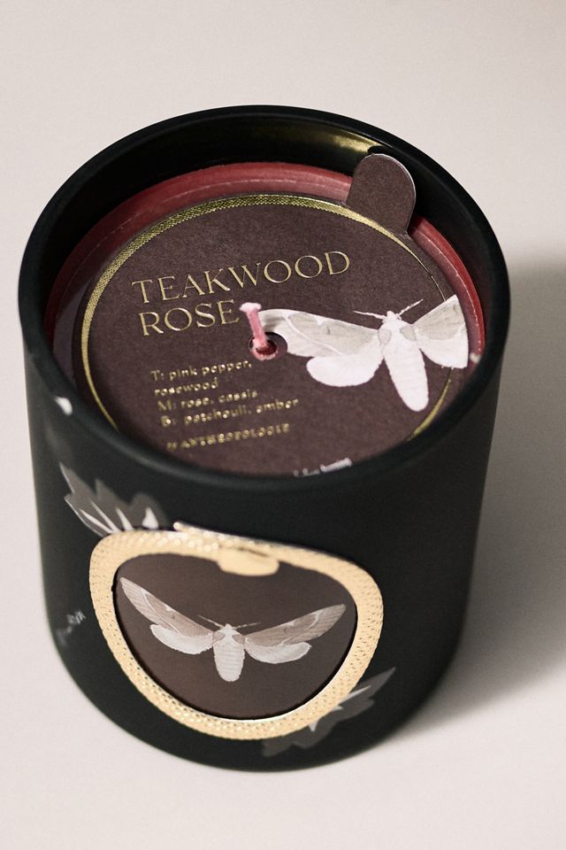 Halloween Moth Woody Teakwood Rose Glass Candle #1