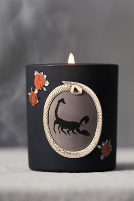 Halloween Scorpion Woody Palo Santo & Saffron Glass Candle