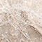 Ivory Rose Gold