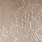 Ivory Blush