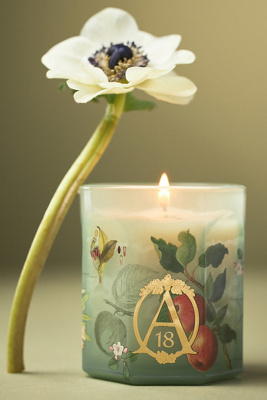 Apothecary 18 By Anthropologie Apothecary 18 Spice Orchard Woods Boxed Glass Candle