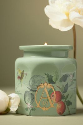 Apothecary 18 Spice Orchard Woods Ceramic Jar Candle