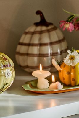 Toadstool Decorative Object
