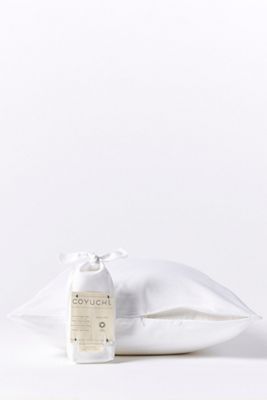 Coyuchi Organic Pillow Protector